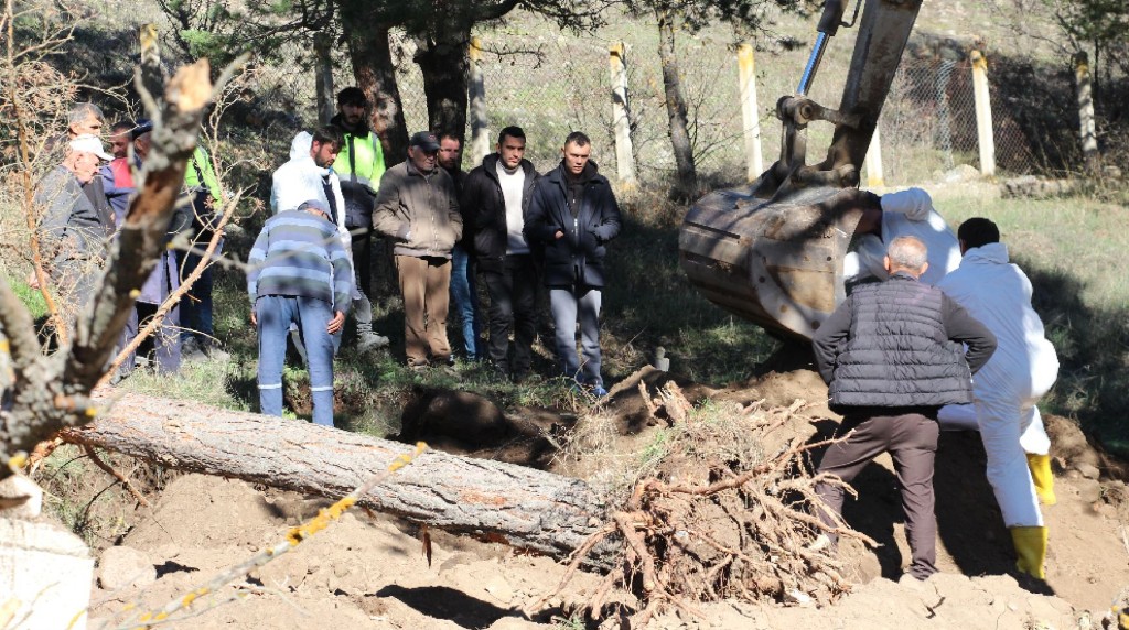 Bolu'da mezarlıklar taşınıyor: 180 kabir yeni yerine naklediliyor