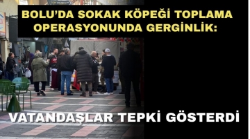 Sokak Köpeği Toplama Operasyonunda Gerginlik: Vatandaşlar Tepki Gösterdi