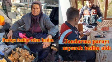 Tezgahın önünde düşürülen 140 bin lira değerindeki Avro’yu jandarmaya teslim etti