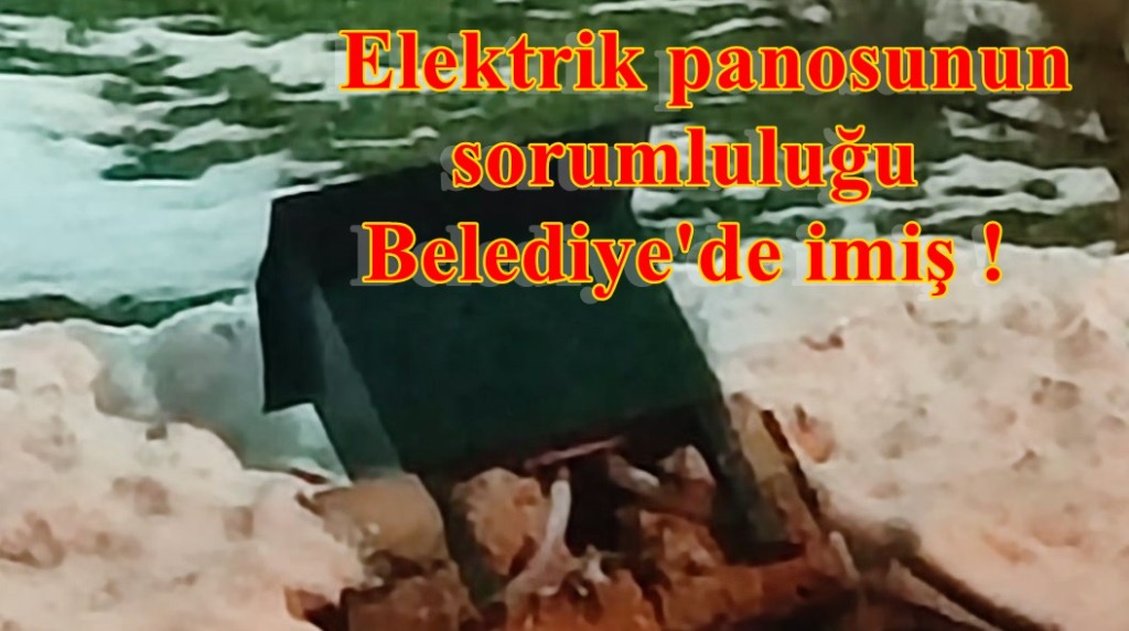 "Ölüm tehlikesi" haberine SEDAŞ'tan açıklama