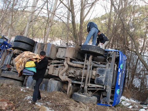 Domuzlar koskoca TIR'ı devirdi