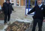 Kaçak balık avcılarına 3 bin lira ceza kesildi