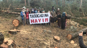 Ayman Yaylasında Taş Ocağı İçin Ağaç Katliamını Köylülerin Direnişi Durdurdu