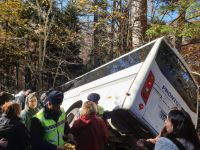 Yedigöller'de tur otobüsü kaza yaptı; 8 yaralı