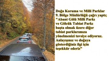 İlginç bir çağrı; "Yedigöller yerine Abant ve Gölcük'e gidiverin"