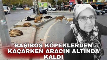 KÖPEKLER SOKAKTA İNSAN ÖLDÜRMEYE DEVAM EDİYOR