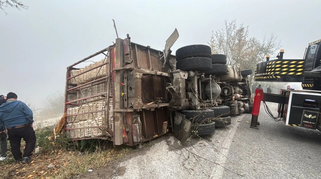 Canlı Tavuk Yüklü Kamyon Devrildi: 4 Yaralı, Onlarca Tavuk Telef Oldu