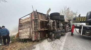 Canlı Tavuk Yüklü Kamyon Devrildi: 4 Yaralı, Onlarca Tavuk Telef Oldu
