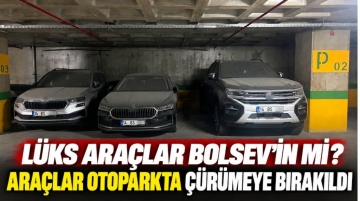 Lüks araçlar BOLSEV'in mi? Bu araçlar otoparkta çürümeye mi terk edildi?